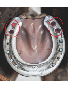 Plaque de 50 bouchons de mortaise 2