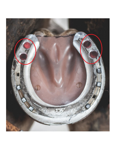 Plaque de 50 bouchons de mortaise