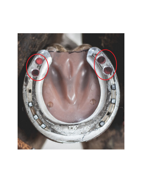 Plaque de 50 bouchons de mortaise Plaque de 50 bouchons de mortaise