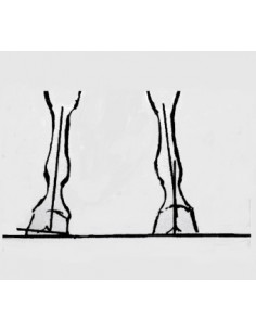 TDL - TRIMMING EVALUATION DEVICE 2