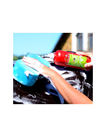 KEVIN BACON'S - Shampoing Lucy Diamonds KEVIN BACON'S - Shampoing Lucy Diamonds