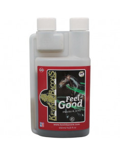 KEVIN BACON'S - Feel Good (450 ml)