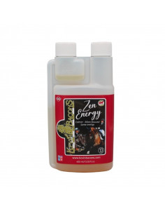 KEVIN BACON'S - Zen Energy (400 ml)