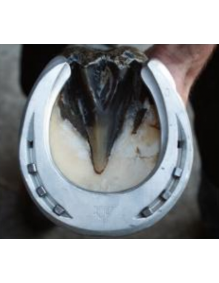 ACR - 110 Suspensory Shoe ACR - 110 Suspensory Shoe