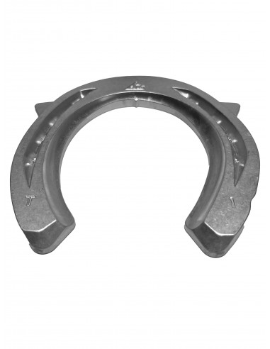 ACR - 2100 Hind Shoe