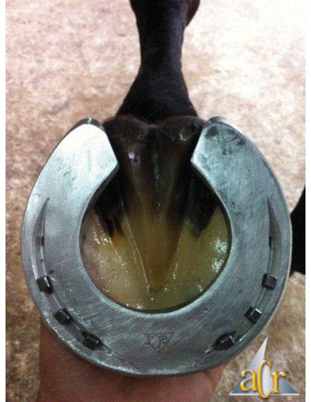 Fers à cheval aluminium - ACR 100 - Fer couvert Fers à cheval aluminium - ACR 100 - Fer couvert