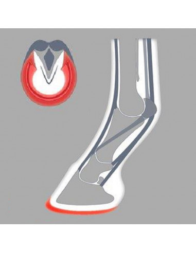 ACR - 100 Wide-Webbed Shoe