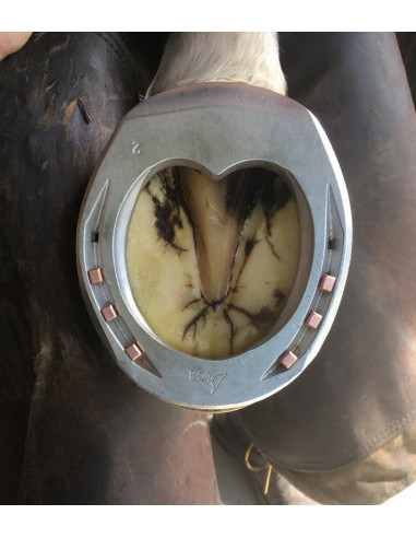 Fers à cheval aluminium - ACR 2120 - Fer diplomatique postérieur