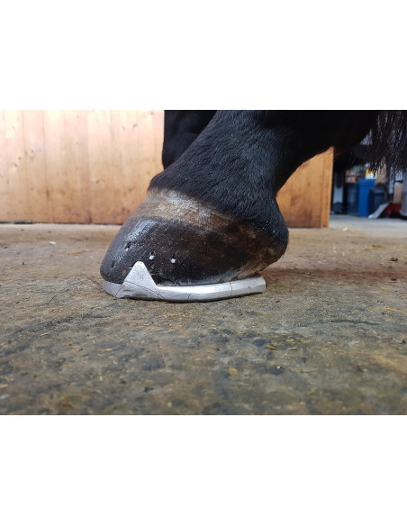 ACR - 2140 Hind Straight Bar Shoe ACR - 2140 Hind Straight Bar Shoe