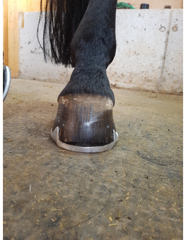 Fers à cheval aluminium - ACR 2140 - Fer à planche postérieur