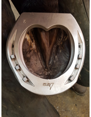 ACR - 2140 Hind Straight Bar Shoe