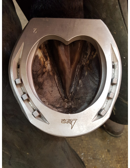 ACR - 2140 Hind Straight Bar Shoe ACR - 2140 Hind Straight Bar Shoe