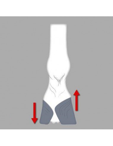 ACR - 300 Semi-wide Web Shoe