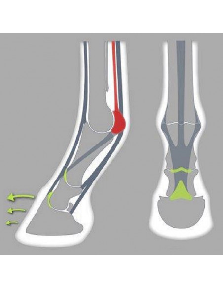 ACR - 320 Rolling Sport shoe ACR - 320 Rolling Sport shoe