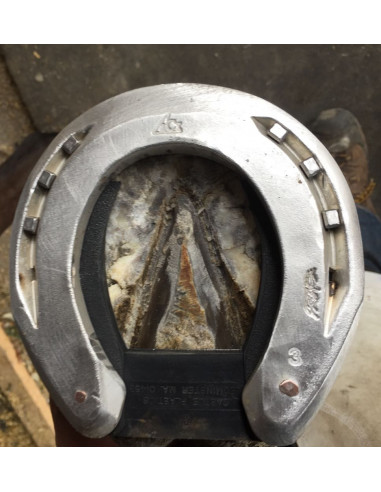 Fers à cheval aluminium - ACR 330- Fer full rolling