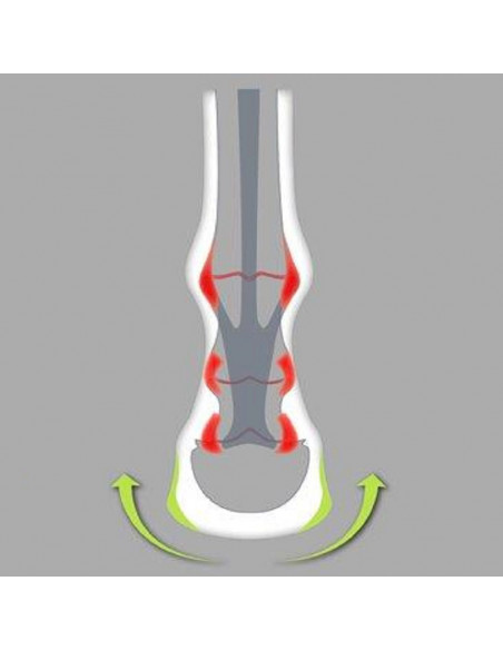 ACR - 330 Full Rolling shoe ACR - 330 Full Rolling shoe