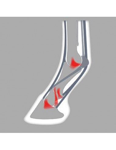 ACR - 330 Full Rolling shoe