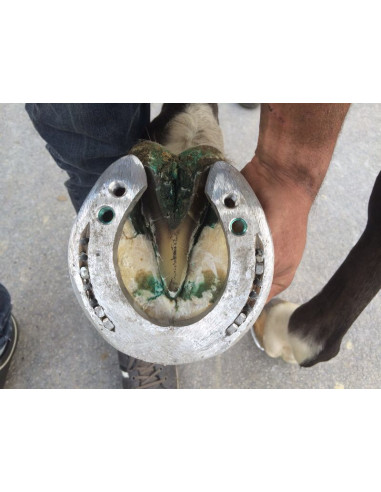 Fers à cheval aluminium - ACR 335 - Fer wedge balance