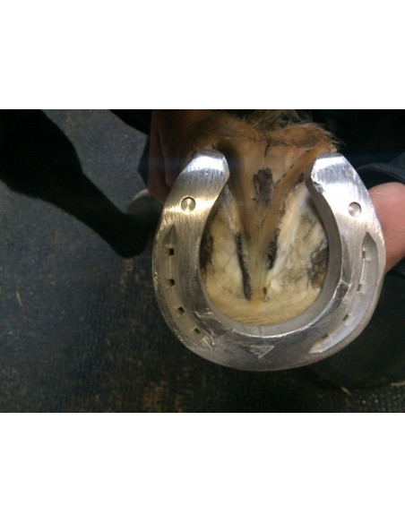 Fers à cheval aluminium - ACR 360 - Fer rocking shoe