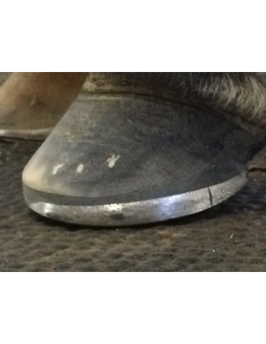 ACR - 360 Rocking Shoe