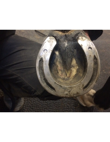 ACR - 360 Rocking Shoe