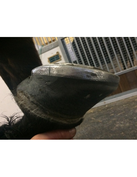 Fers à cheval aluminium - ACR 360 - Fer rocking shoe