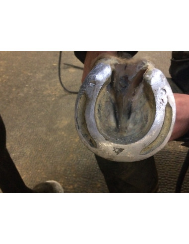 Fers à cheval aluminium - ACR 360 - Fer rocking shoe