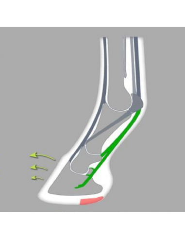 ACR - 380 German Sport Shoe