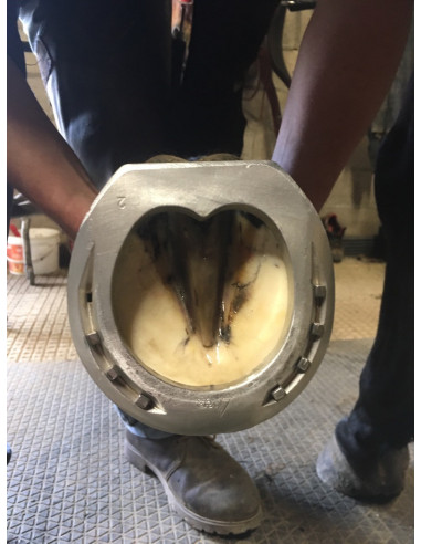 ACR - 430 Full Rolling Straight Bar Shoe