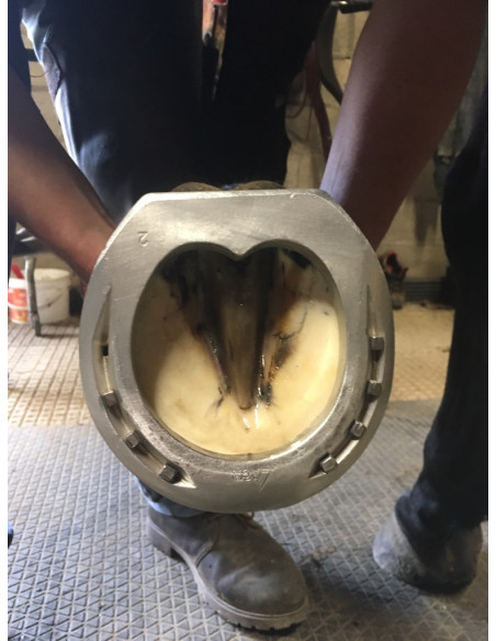 ACR - 430 Full Rolling Straight Bar Shoe