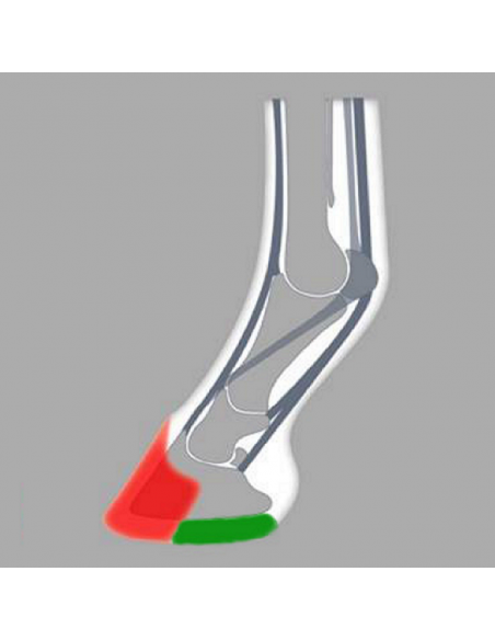 ACR - 800 Heart Bar Shoe ACR - 800 Heart Bar Shoe